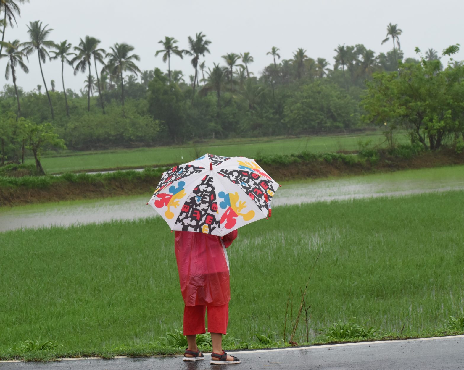 Monsoon