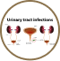 Urinary Tract Infection icon