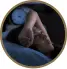 sleeplessness